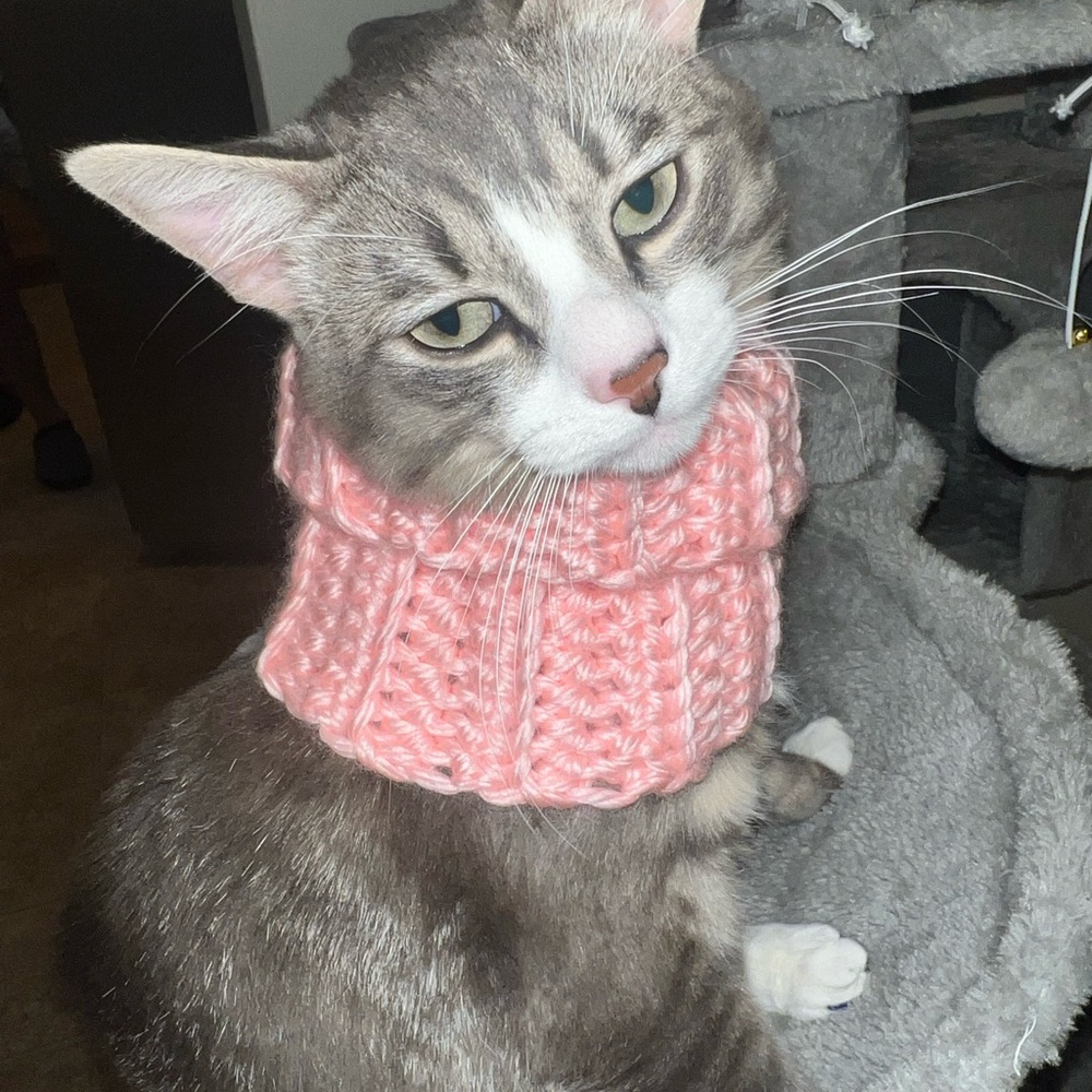 Homemade crochet cat neck warmer very Comy yarn